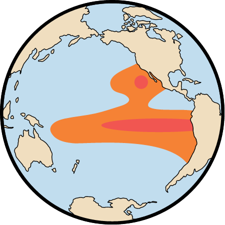 El Nino Southern Oscillation Management