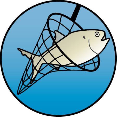 Fisheries Management