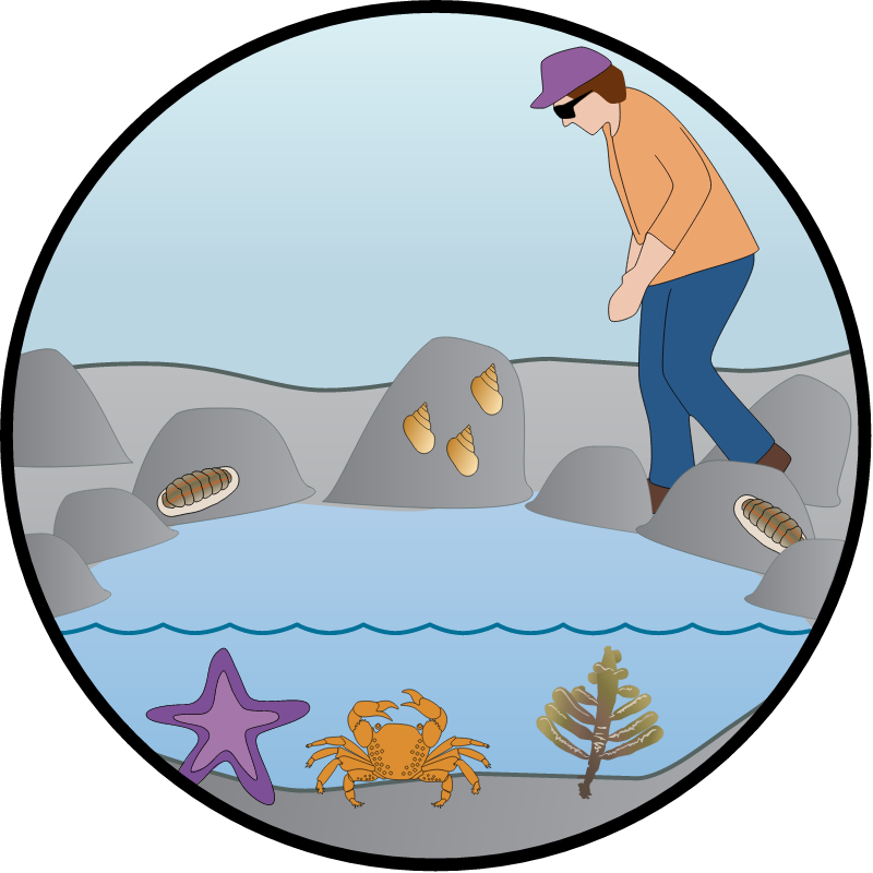 Human Access Management