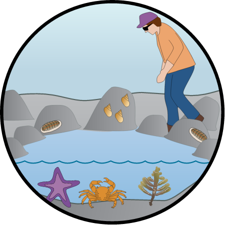 Human Access Management