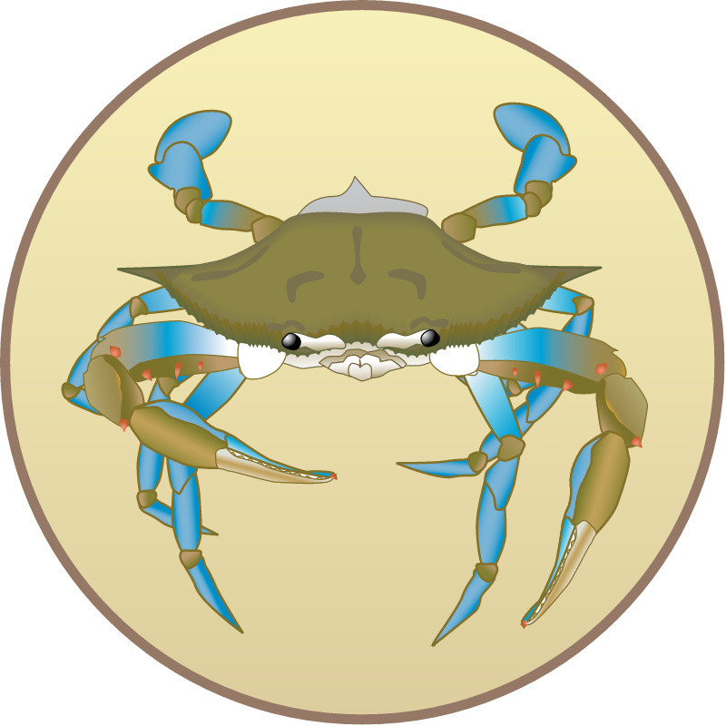 Blue Crab Management