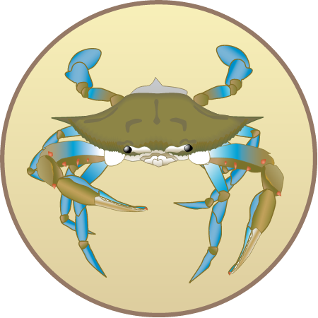 Blue Crab Management