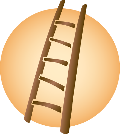 Next Steps