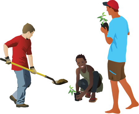 Restoration Planting Trees