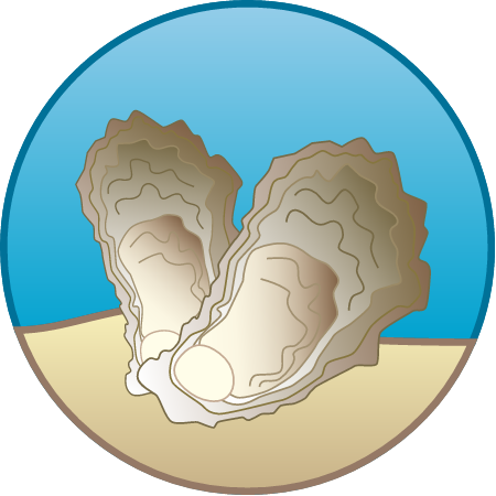 Oyster Restoration