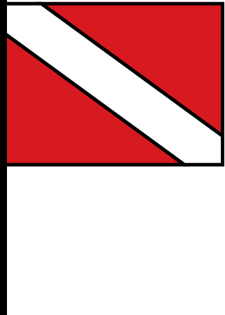 Divers Flag USA