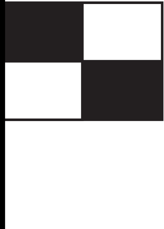 Lifeguard Flag UK Surf Craft Only