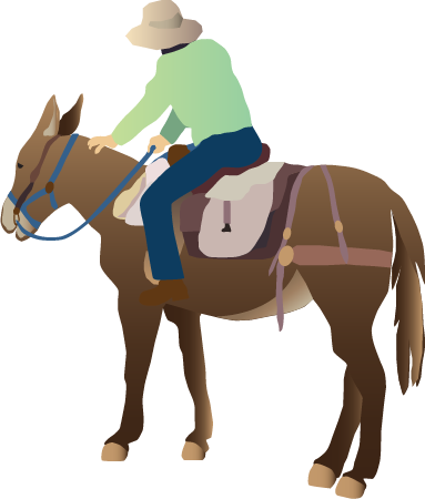 Lead Mule