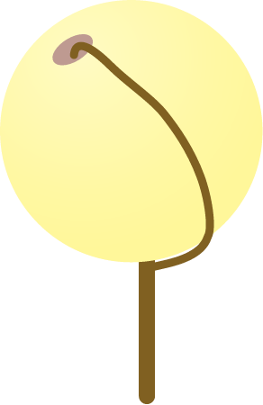 Buoy
