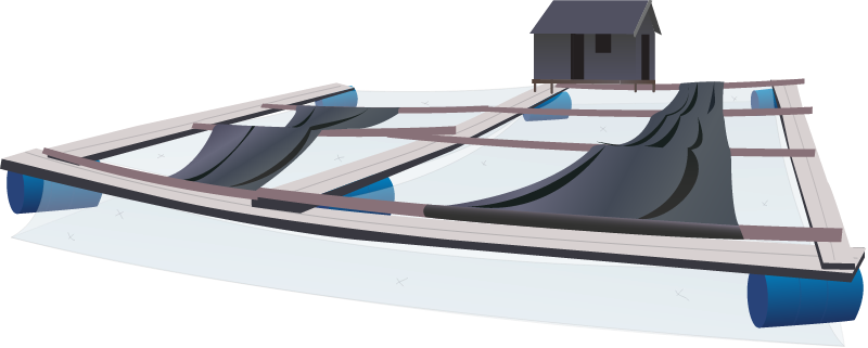 Floating Grow Out Units