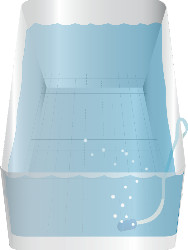Aquarium Tank with Mesh and Airstone