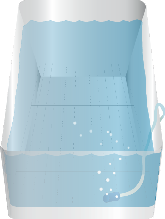 Aquarium Tank with Mesh and Airstone