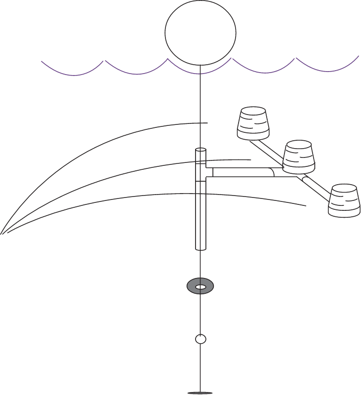 Macroalgal Incubation Setup