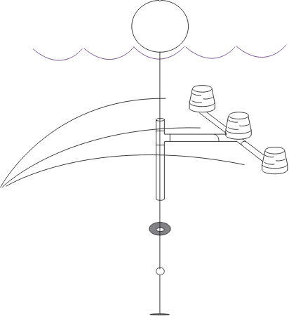 Macroalgal Incubation Setup