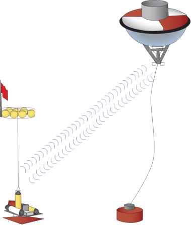 Tsunami Sensor and Transmitting Buoy