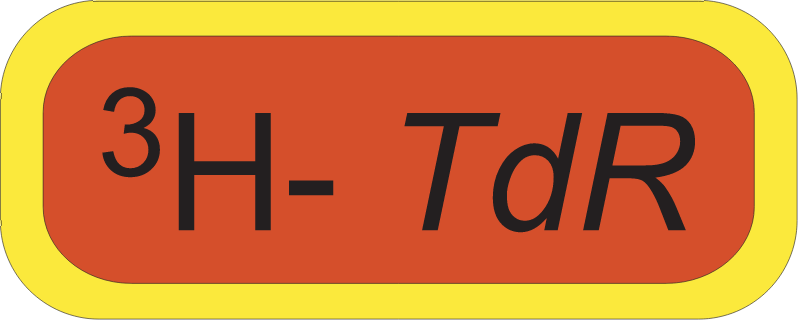 Radioactive Thymidine