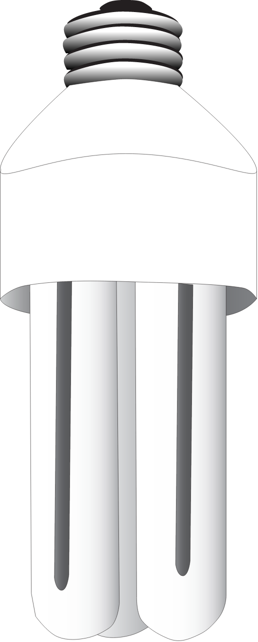 Light Fluorescent Bulb