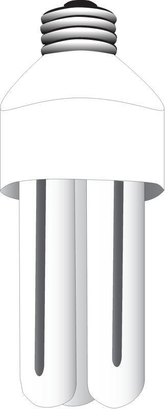 Light Fluorescent Bulb