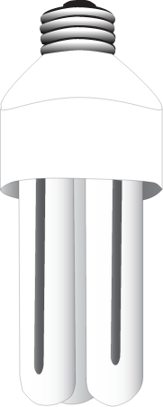 Light Fluorescent Bulb