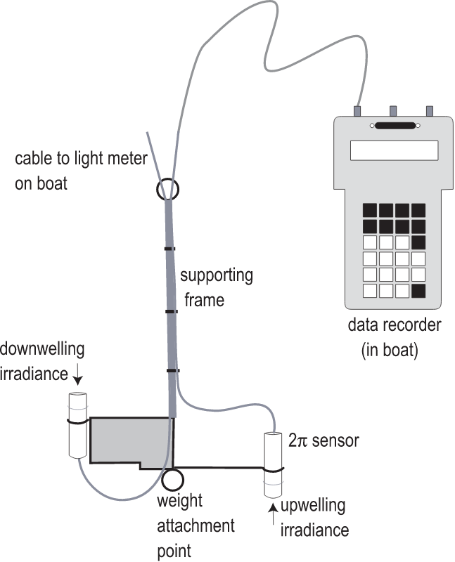 Light Meter