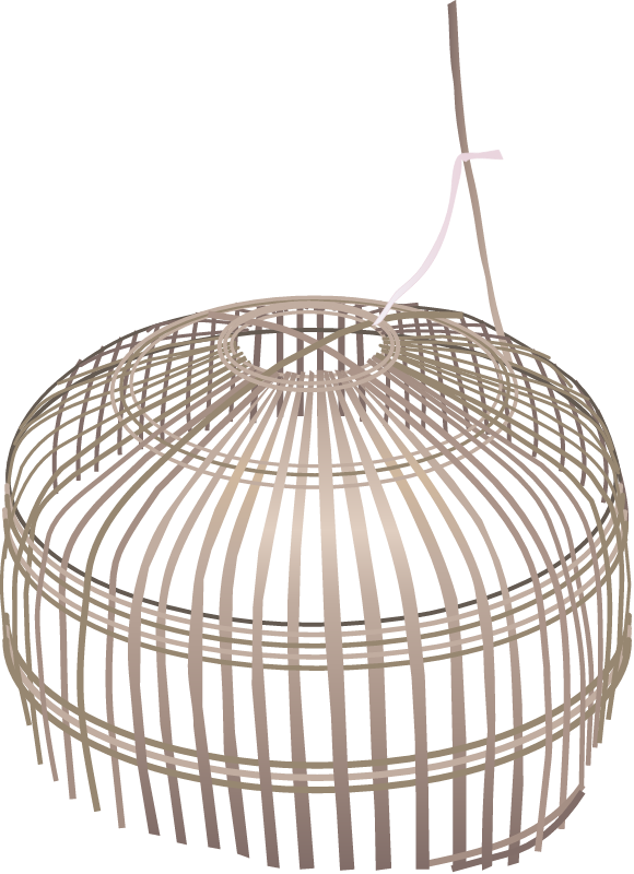 Turtle Nest Anti Predatory Cage