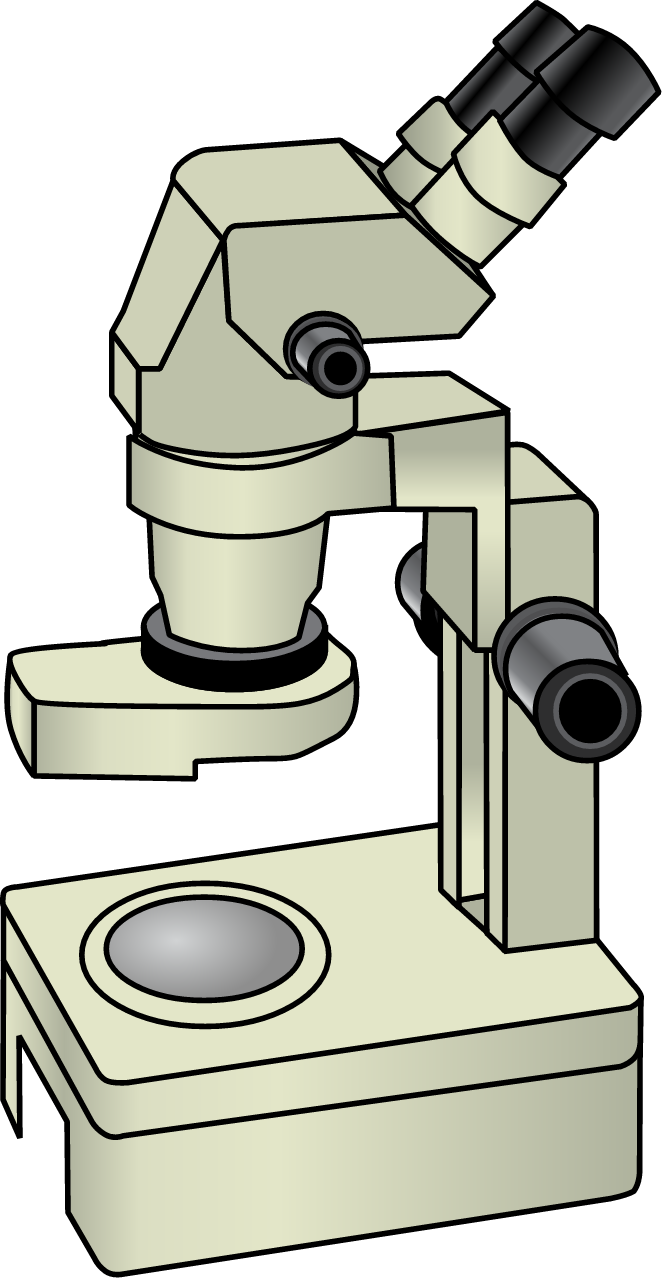 Compound Microscope