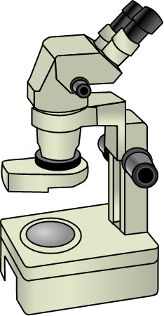 Compound Microscope