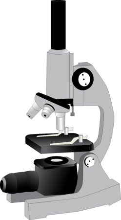 Microscope
