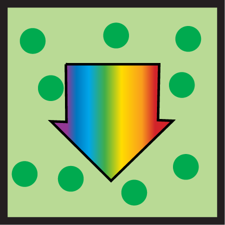 Response Bioassay High Light