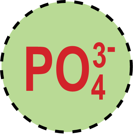 Concentration Low Phosphate