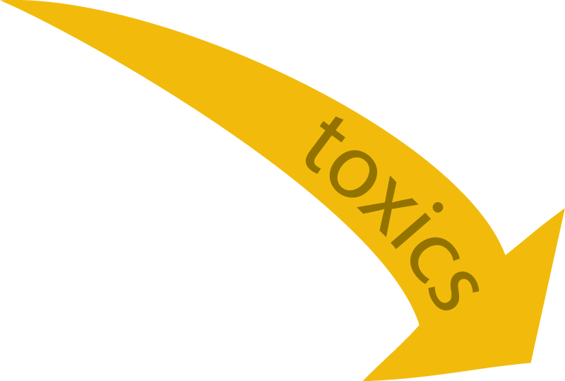 Inputs Toxics