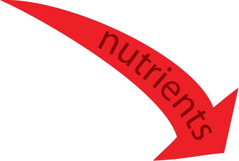 Inputs Nutrients
