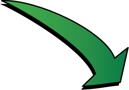 Inputs Dissolved Organic Carbon