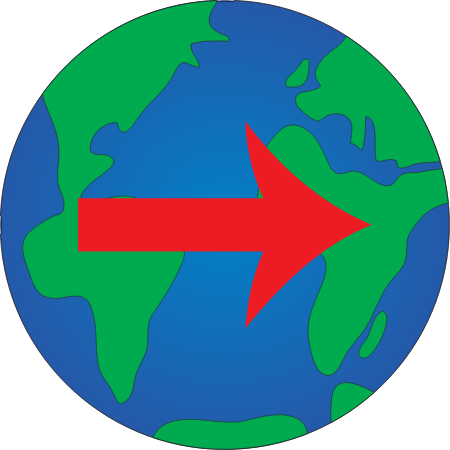Introduced Species