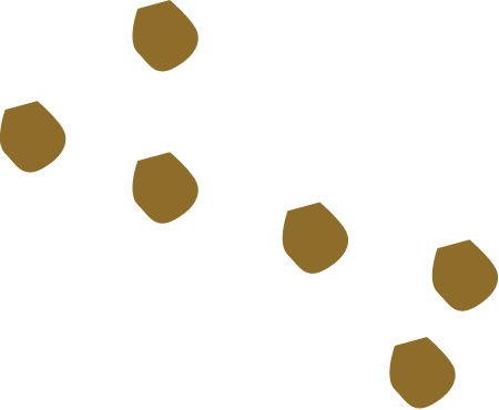 Sediment Suspension