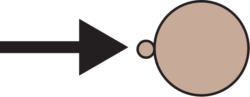Sorption