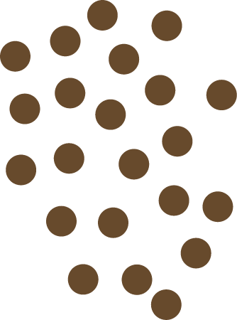 Sediment