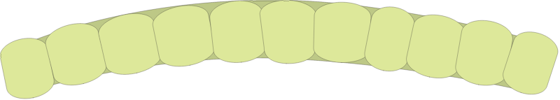 Cyanobacteria