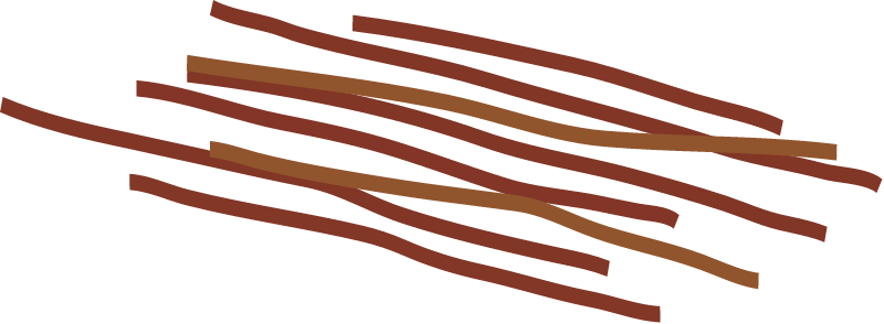 Trichodesmium
