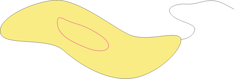 Sigmoid Bacterium