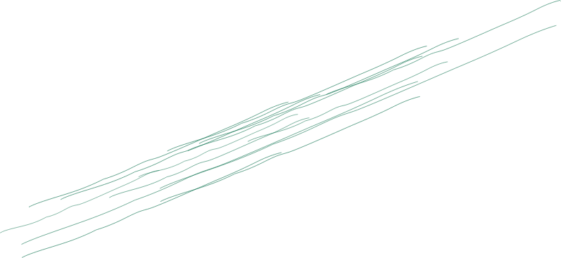 Cyanobacterial Mat