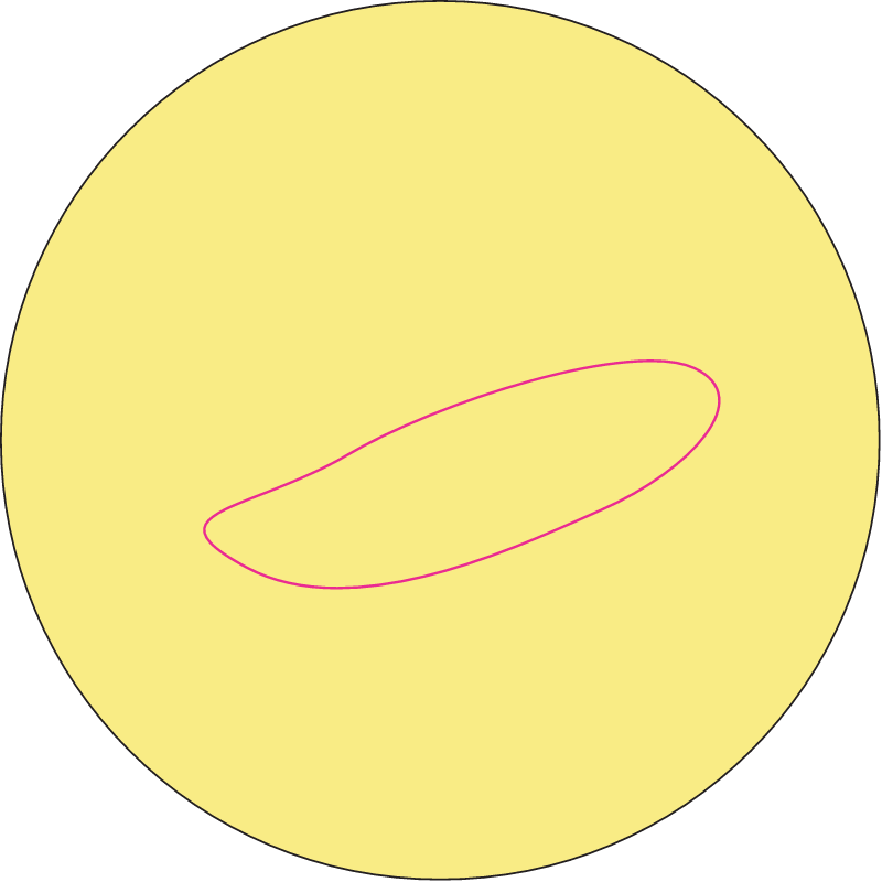 Coccoid Bacterium