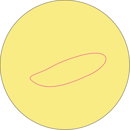 Coccoid Bacterium