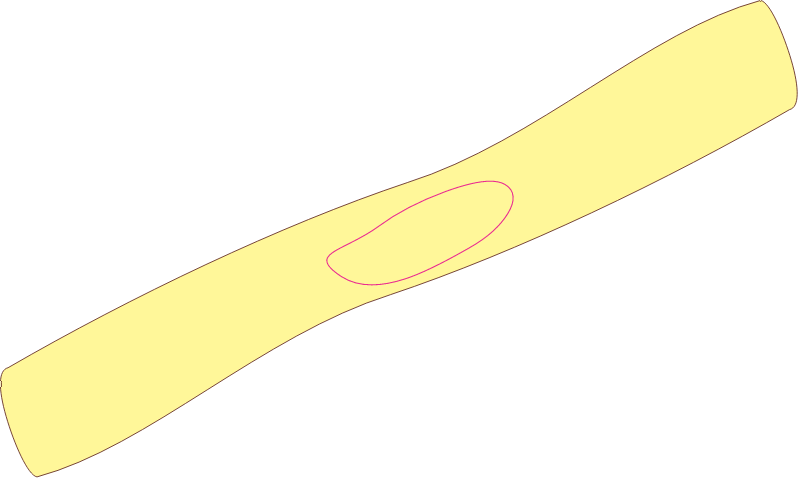 Archaea