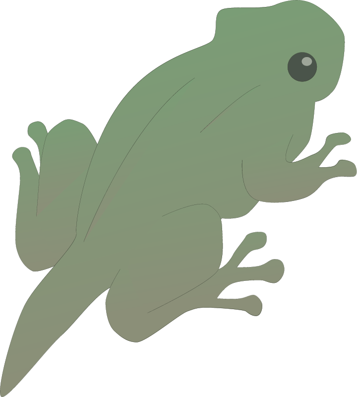 Anura Frog Lifecycle Day 84 Tadpole Metamorphosis