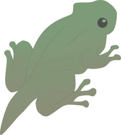 Anura Frog Lifecycle Day 84 Tadpole Metamorphosis