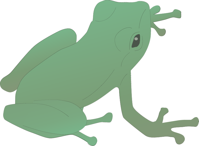 Anura Frog Lifecycle Day 84 Young Frog