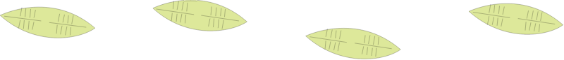 Benthic Microalgae