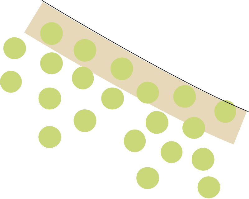 Benthic Microalgae