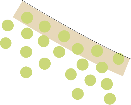 Benthic Microalgae